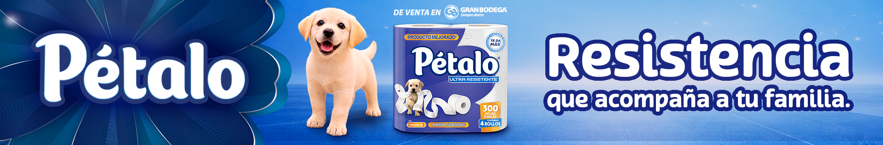 Banner_D_08_Kimberly